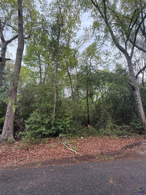 Ash Alley Danville GA 31017