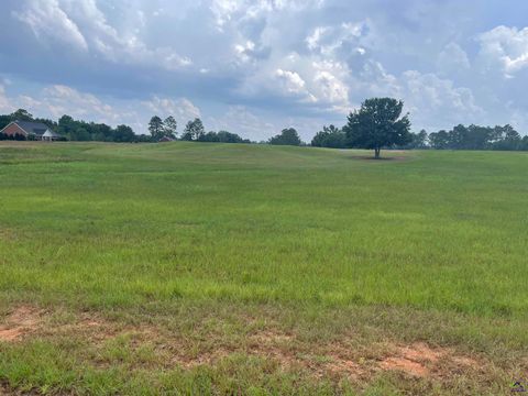 44 Crabapple Drive Hawkinsville GA 31036