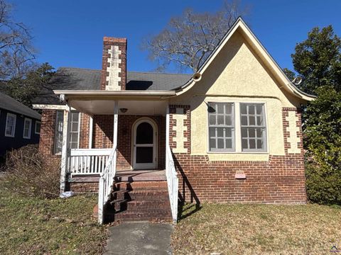 132 Desoto Place Macon GA 31204