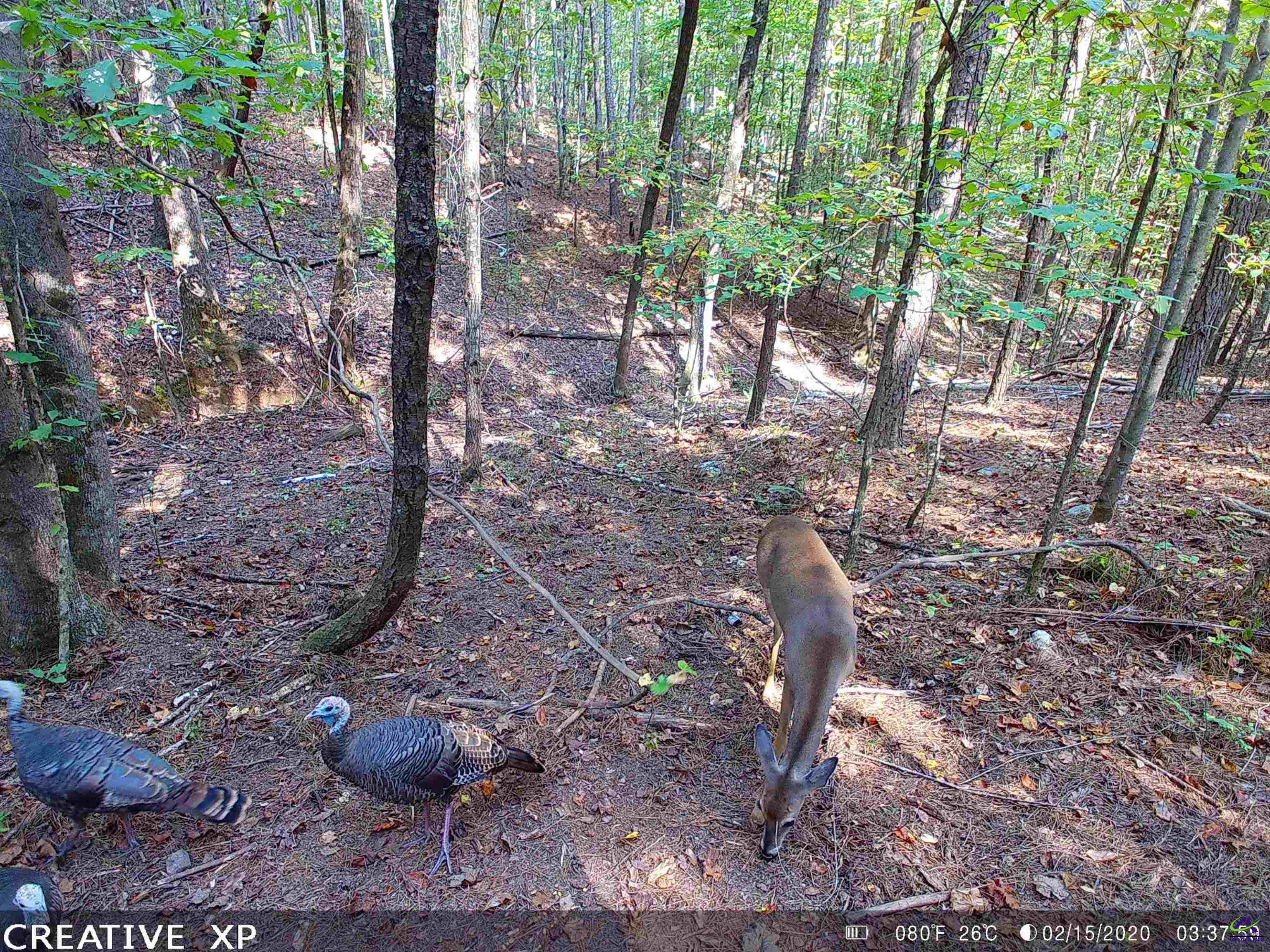 0 Husley Trail
