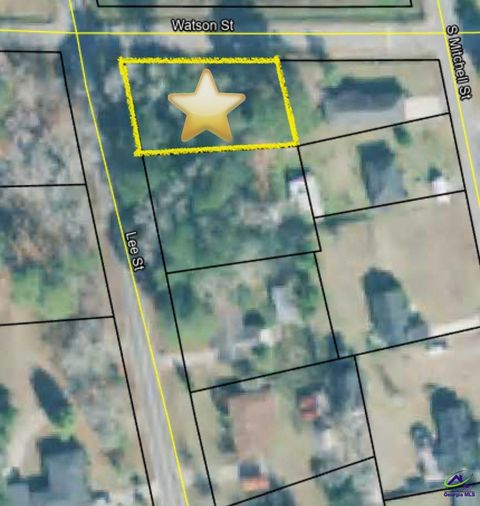 Lee Street Lot 1 Hawkinsville GA 31036
