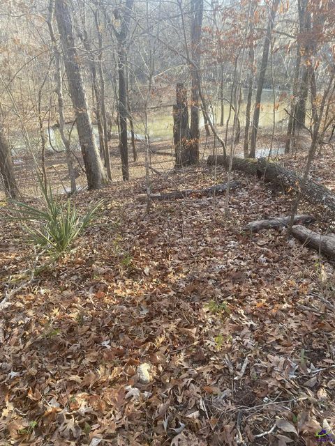 39 Charleston Circle Hawkinsville GA 31036