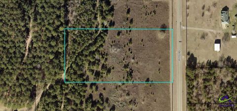4.13 +/- acres Pitts Rd Hawkinsville GA 31036