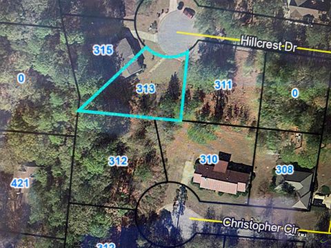 313 Hillcrest Drive Montezuma GA 31063