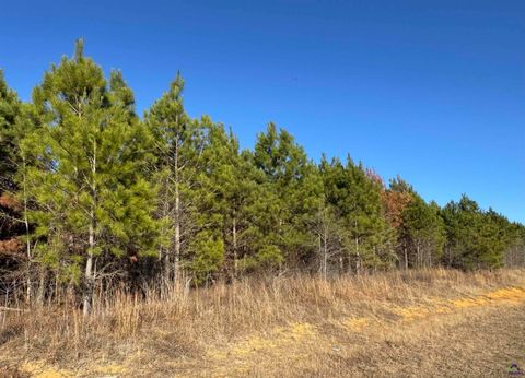 Lot 8A Whitfield Rd Elko GA 31025