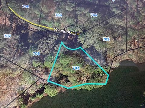 703 Overlook Drive Montezuma GA 31063