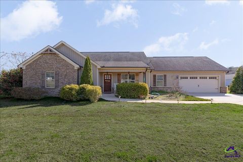 309 High Falls Road Jackson GA 30233