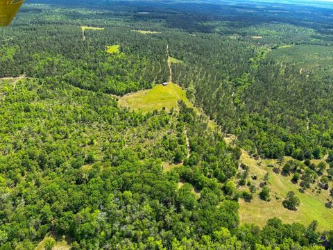 257 Carpenter Road Rupert GA 31081