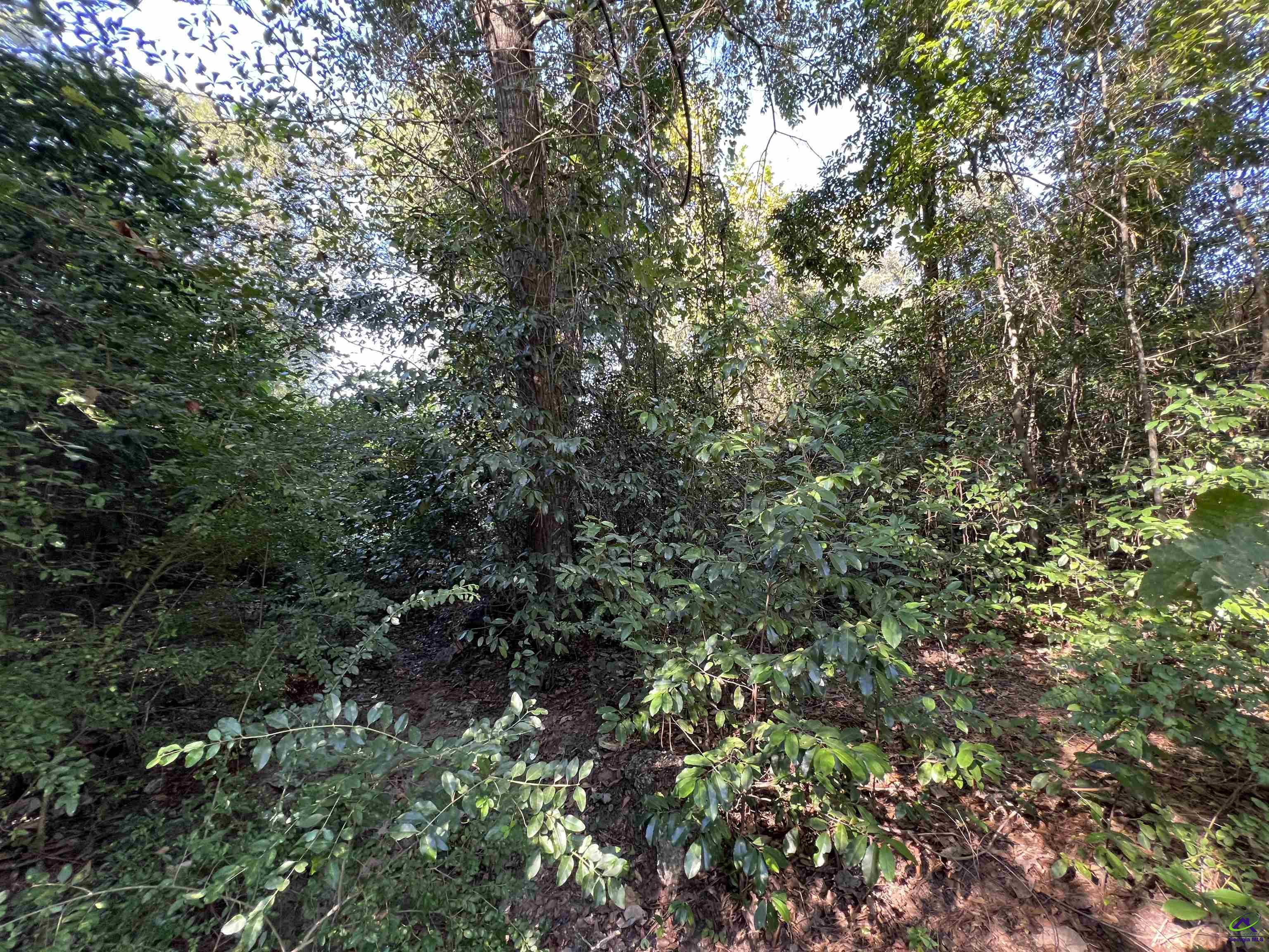 Greentree Trail
