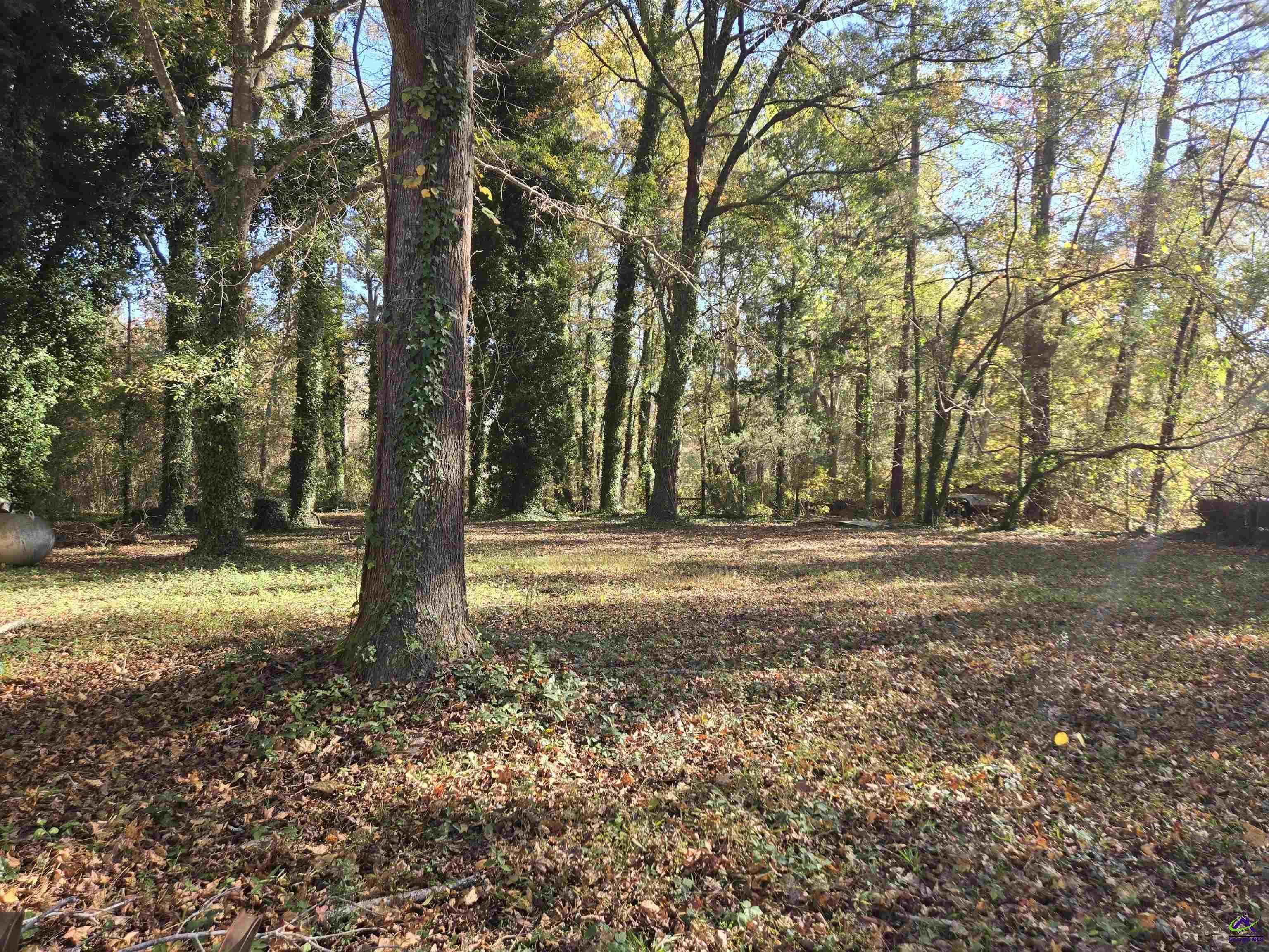 131 & 133 S Blackberry Circle