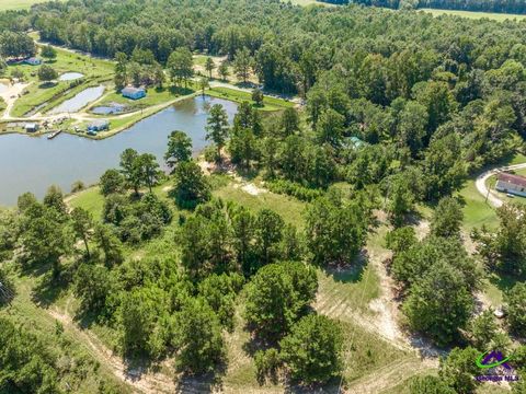 0 Thomas Road Reynolds GA 31076