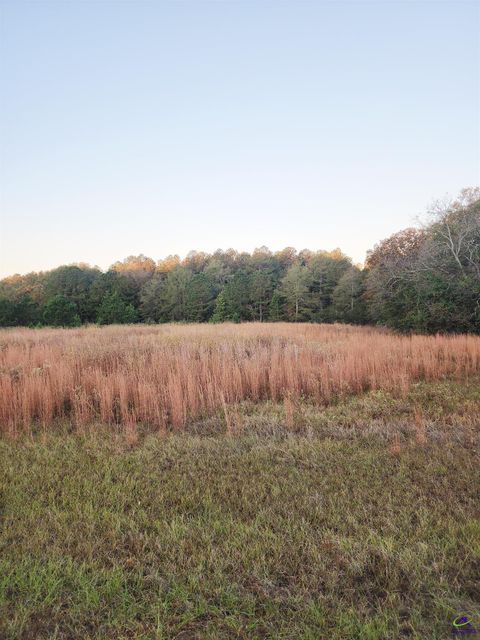 TRACT C-1A LL 2 Kersey Road Elko GA 31025