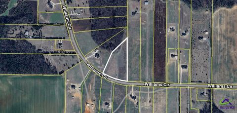 Tract 3 Williams Circle Elko GA 31025