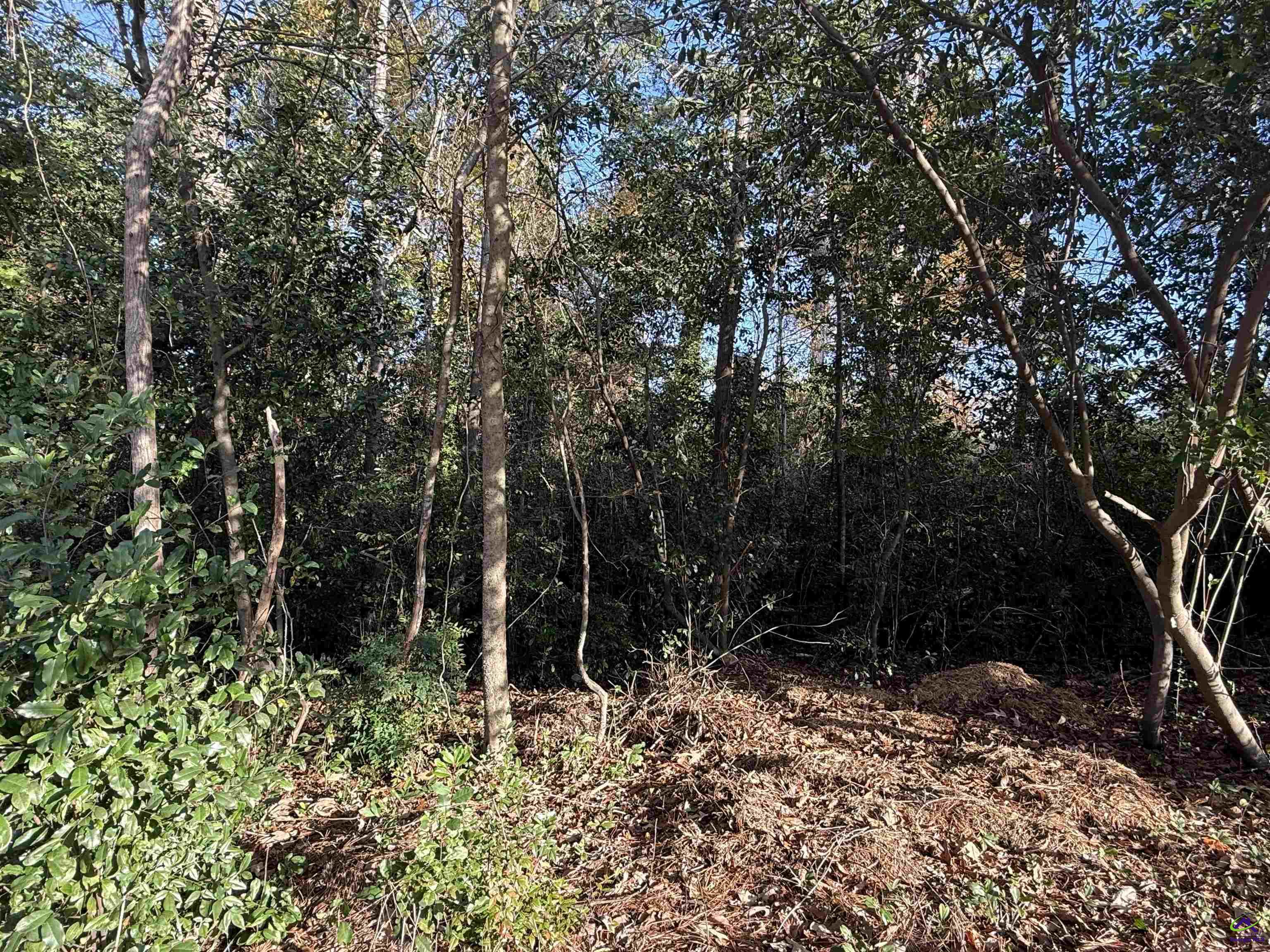 108 Pheasant Cove