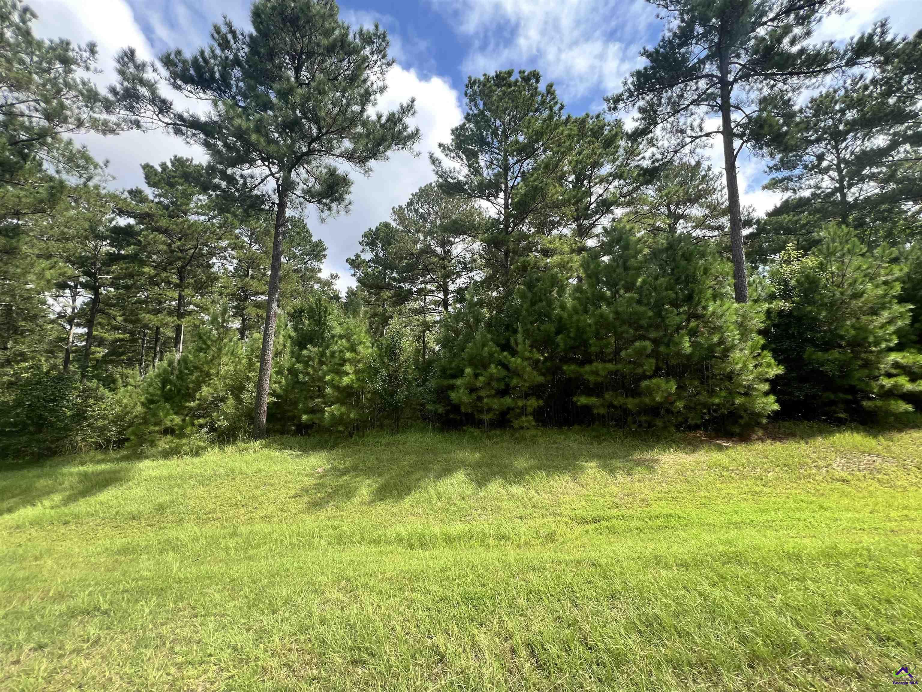 (5.41 acres) Redridge Lane