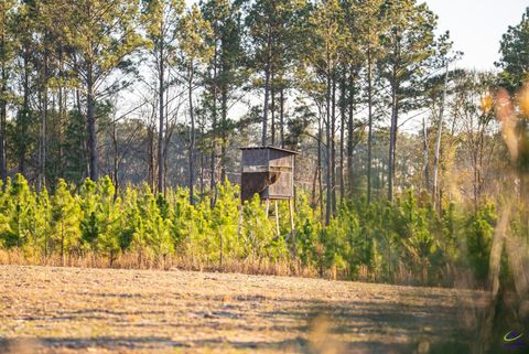 869 Chester-Cochran Highway Chester GA 31012