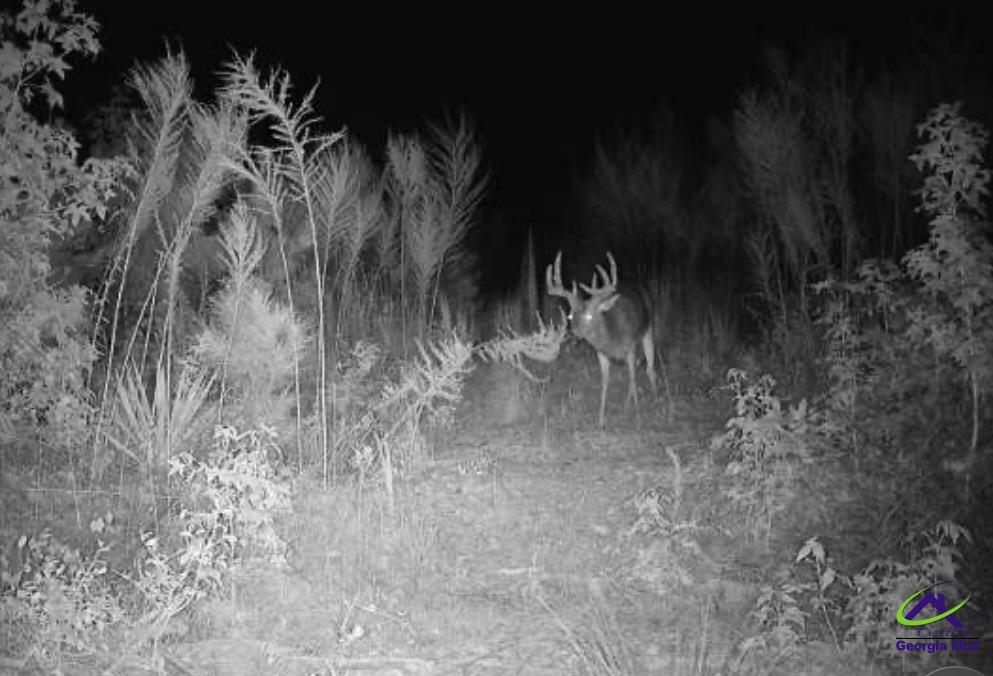 869 Chester-Cochran Highway