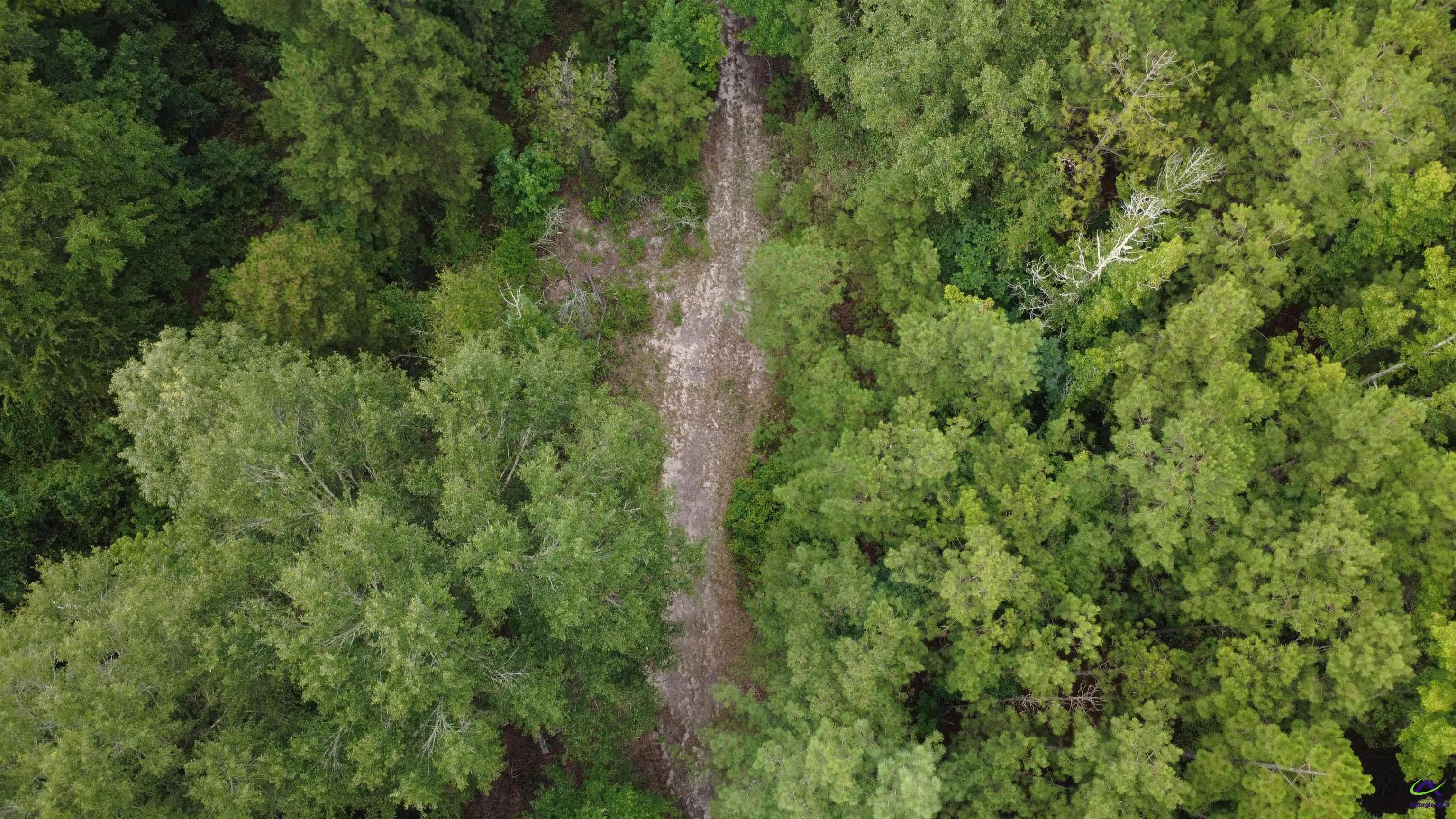 3825 Masseyville Road