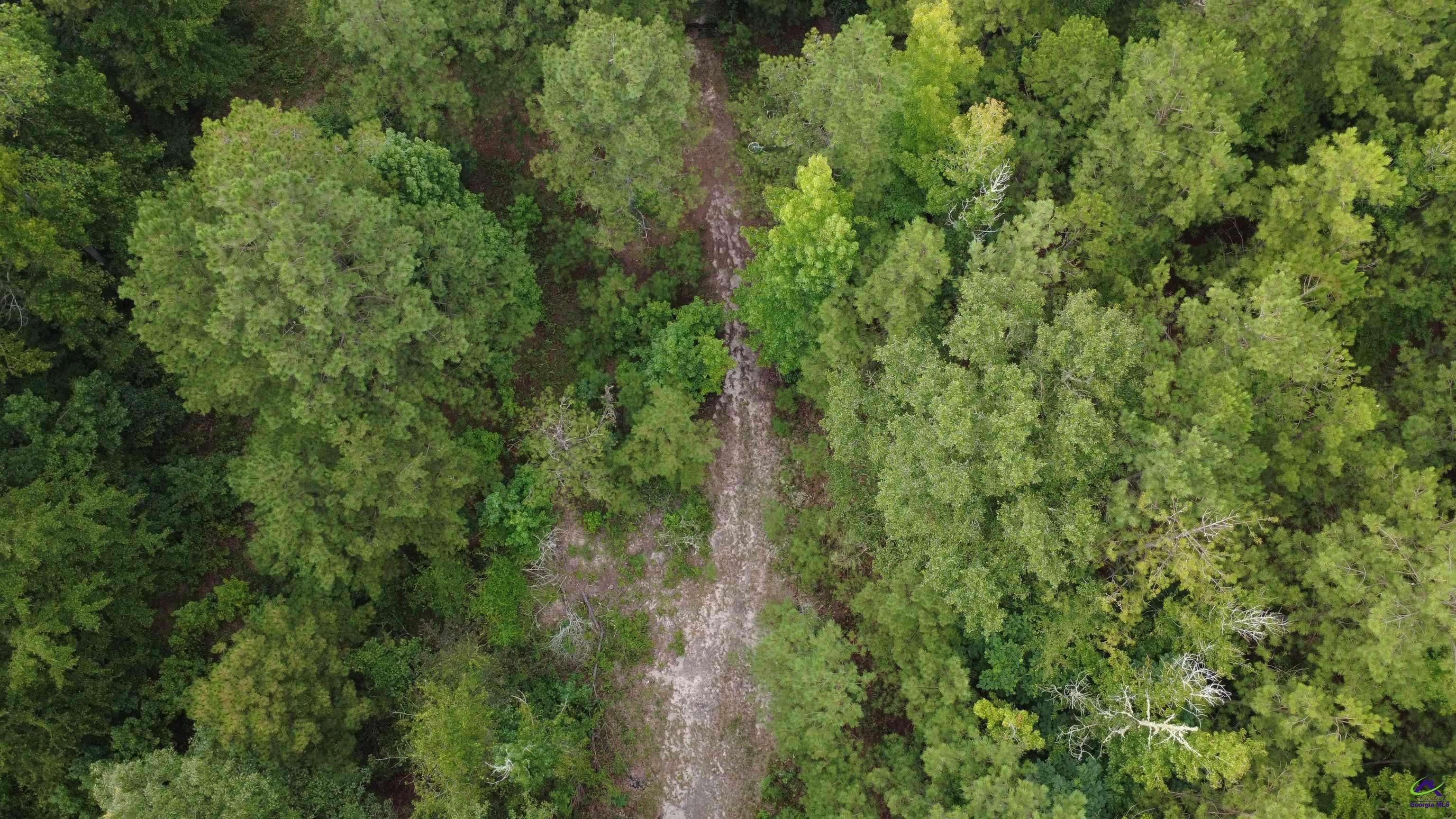 3825 Masseyville Road