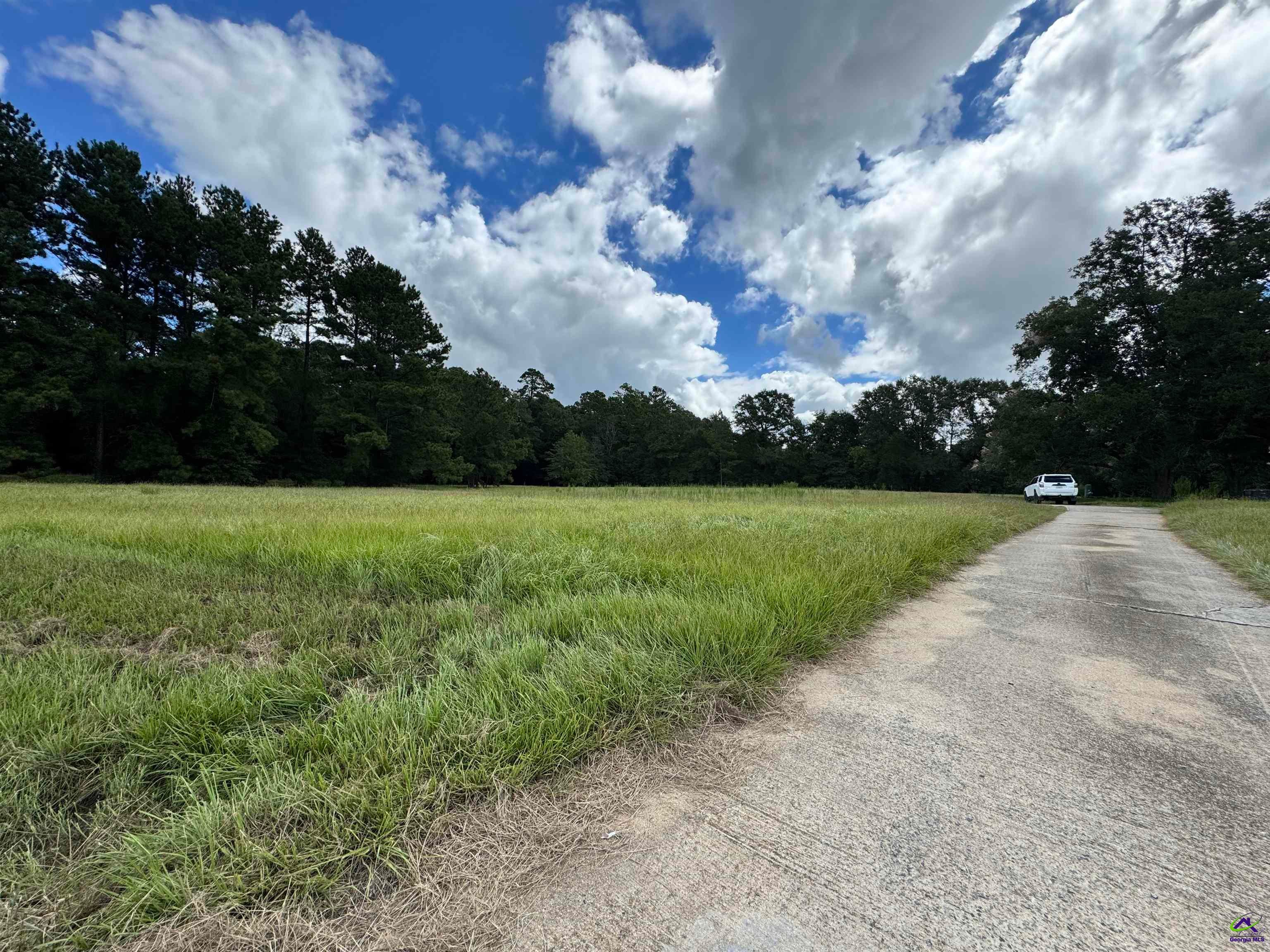 319 Abbeville Highway