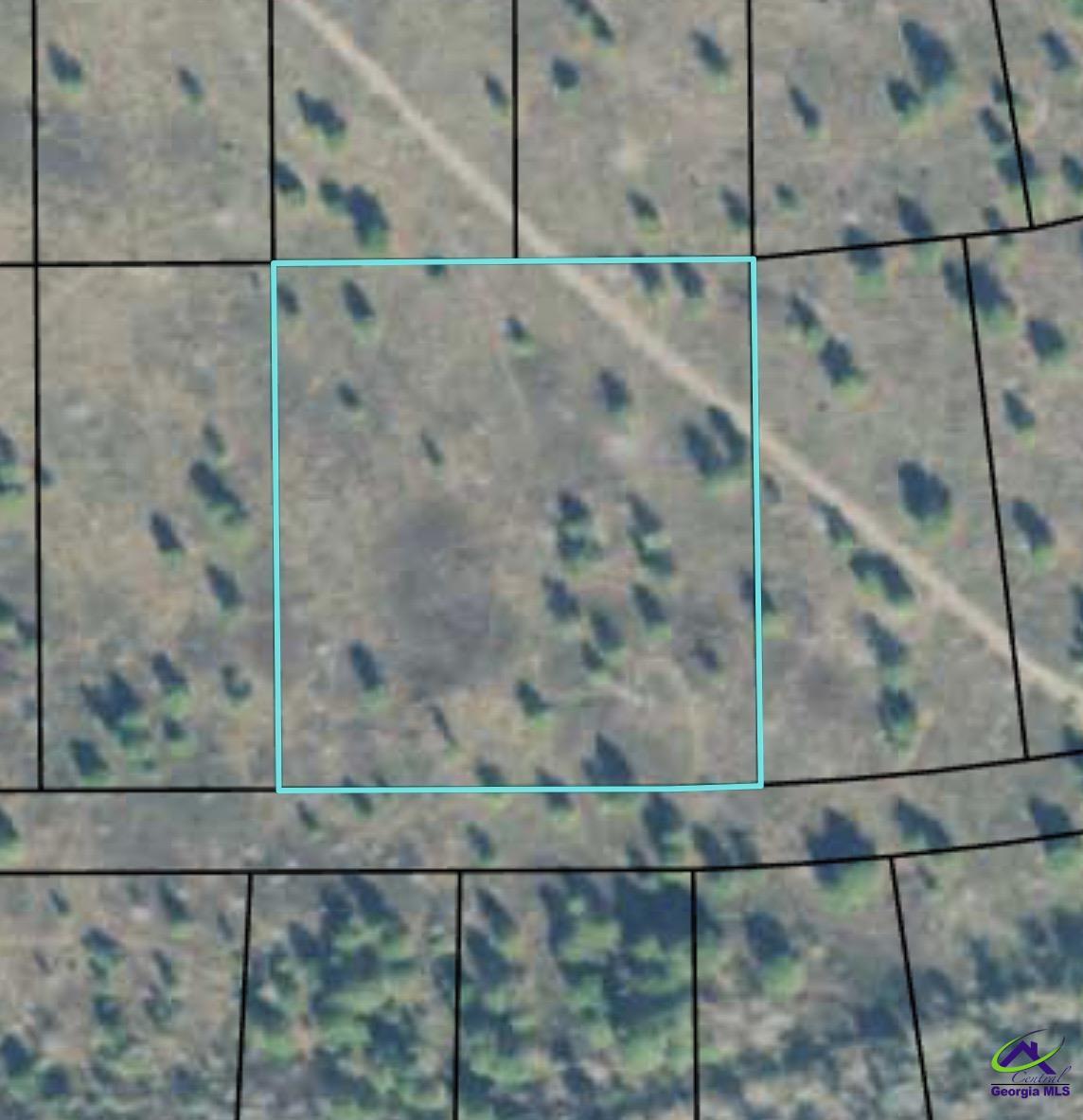 0 Palm Circle