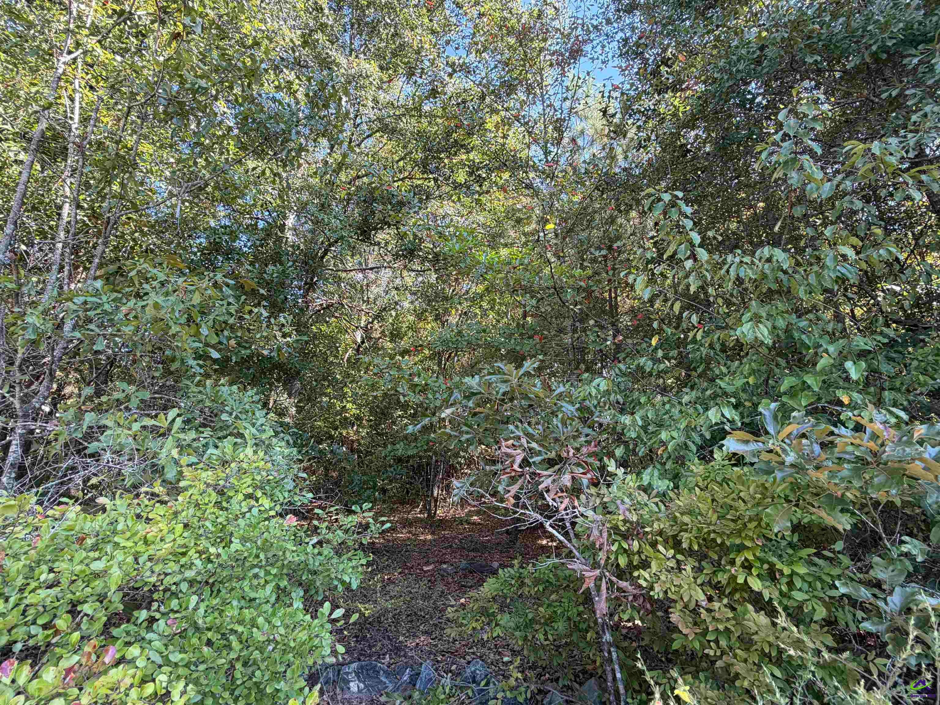 100 Dogwood Glen Drive