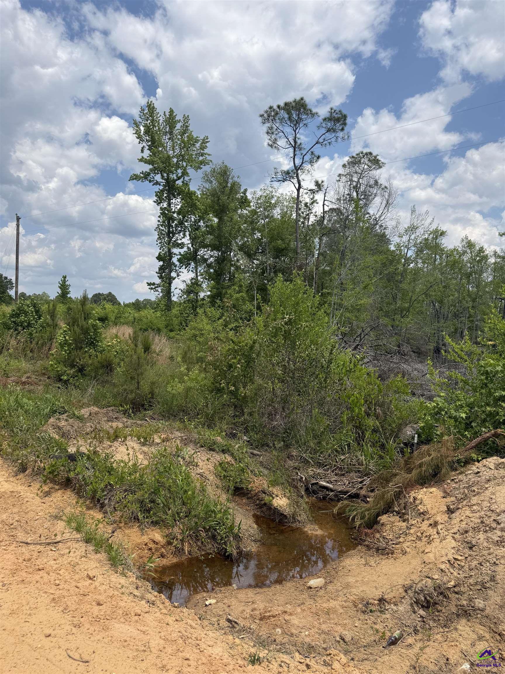 J D Williams Road