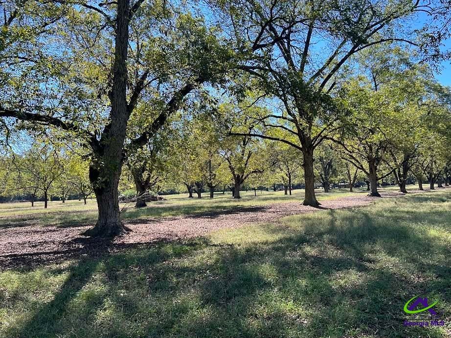 Lot 1 S Hwy 341