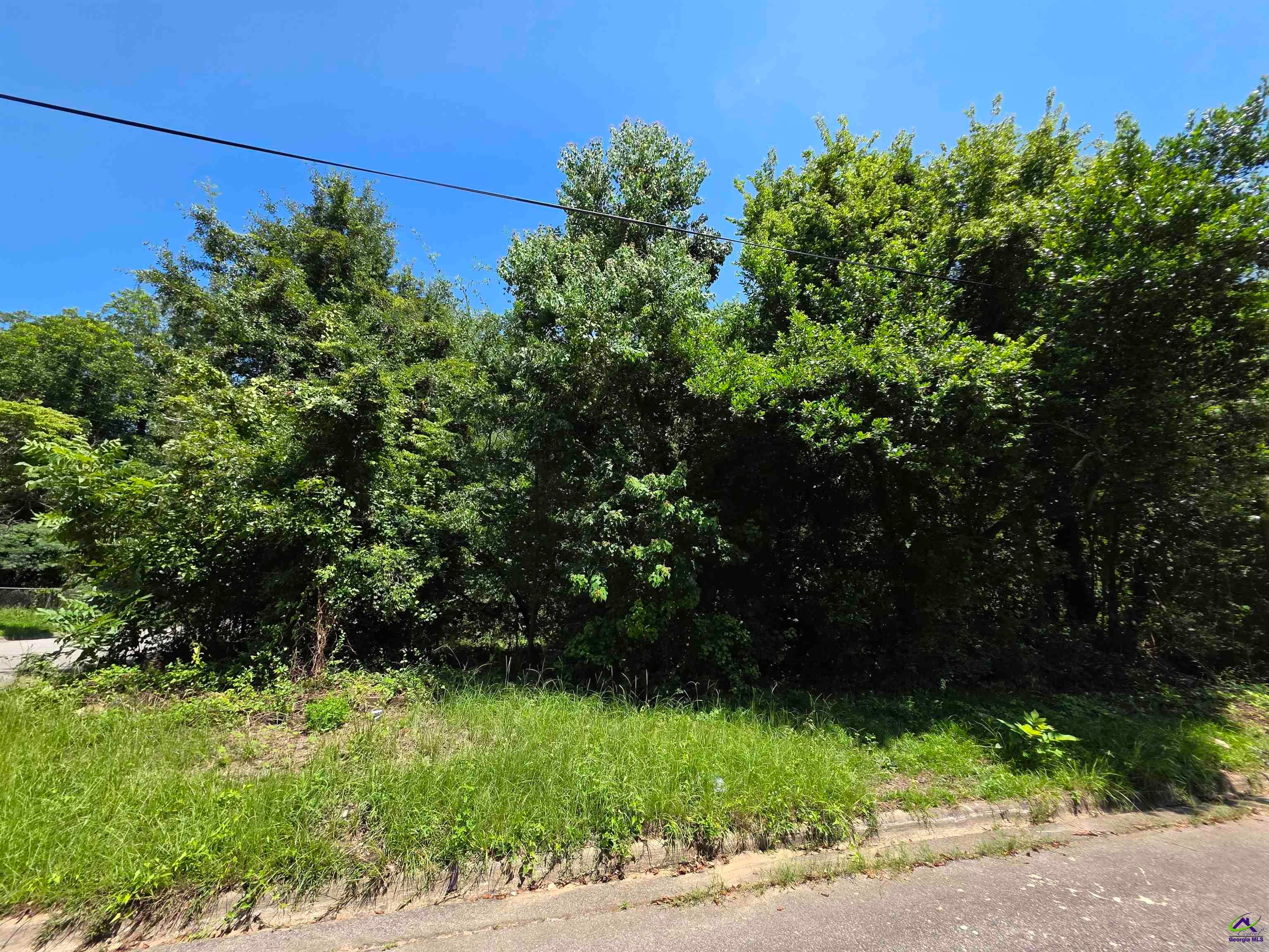 736 Peachtree Avenue