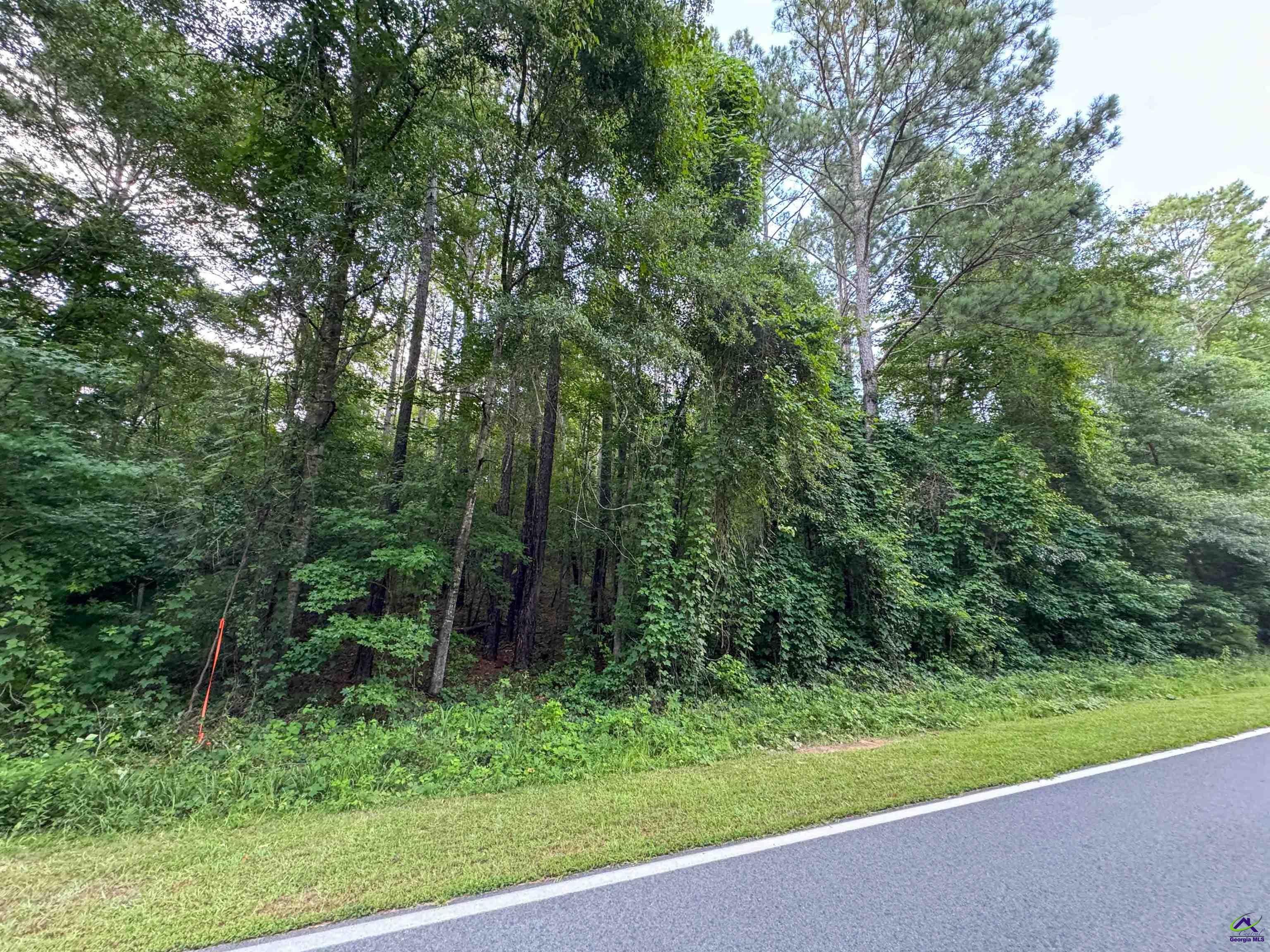 12.6 Acres Hicks Road