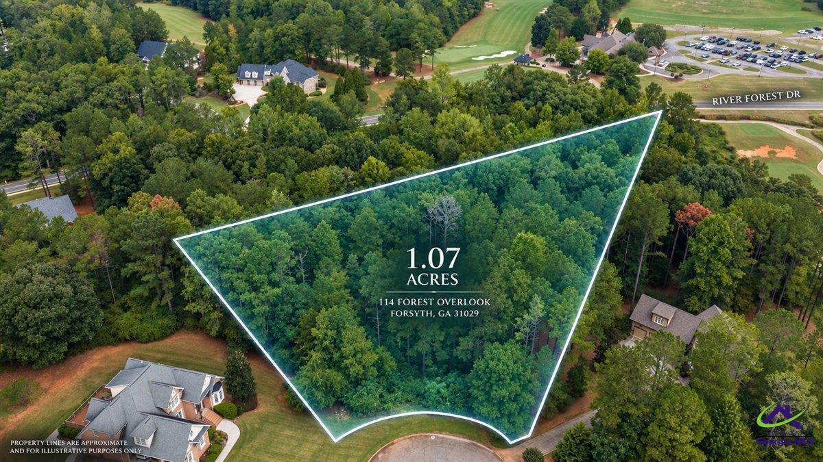 114 Forest Overlook Drive
