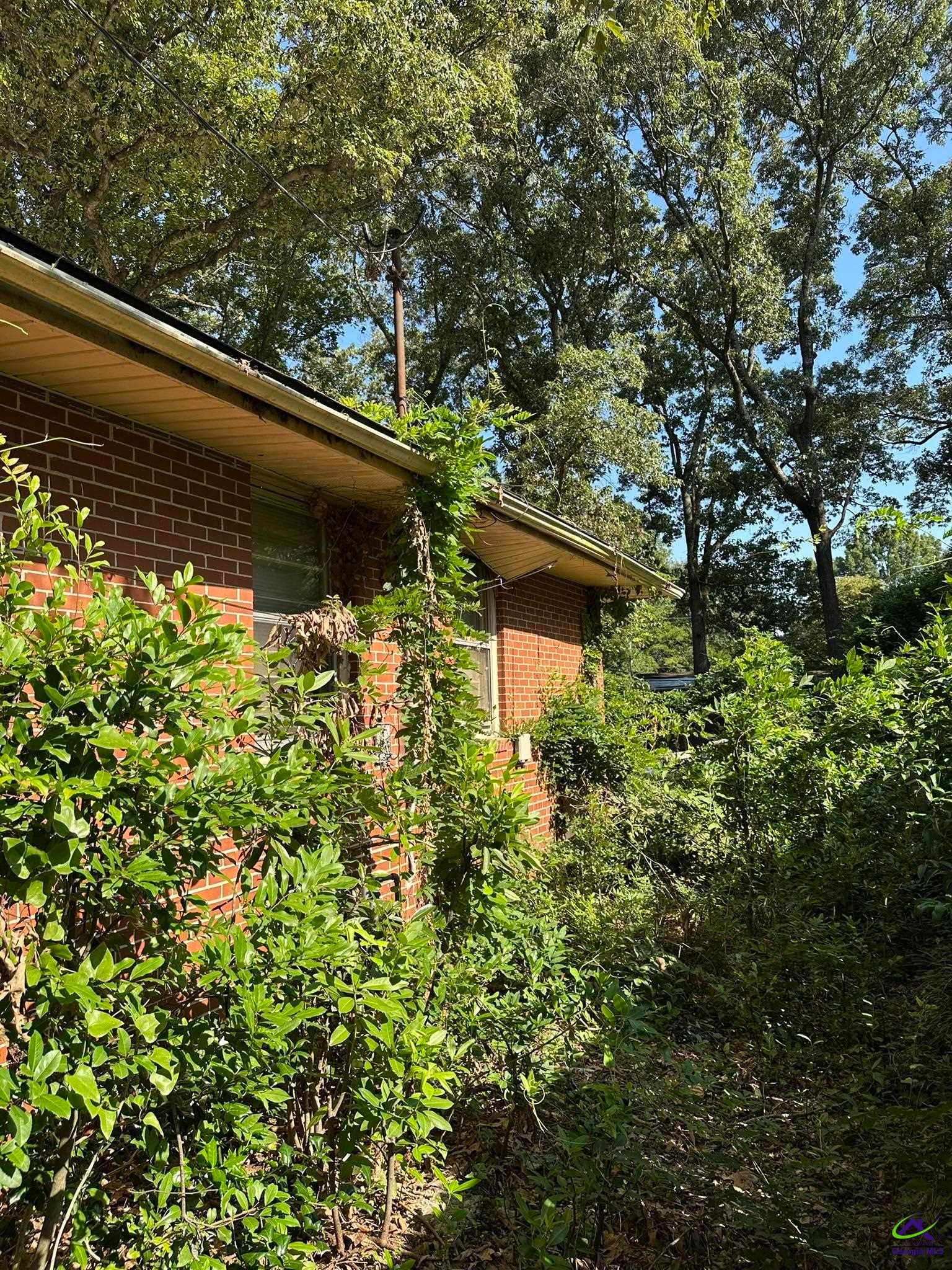 110 Williams Terrace