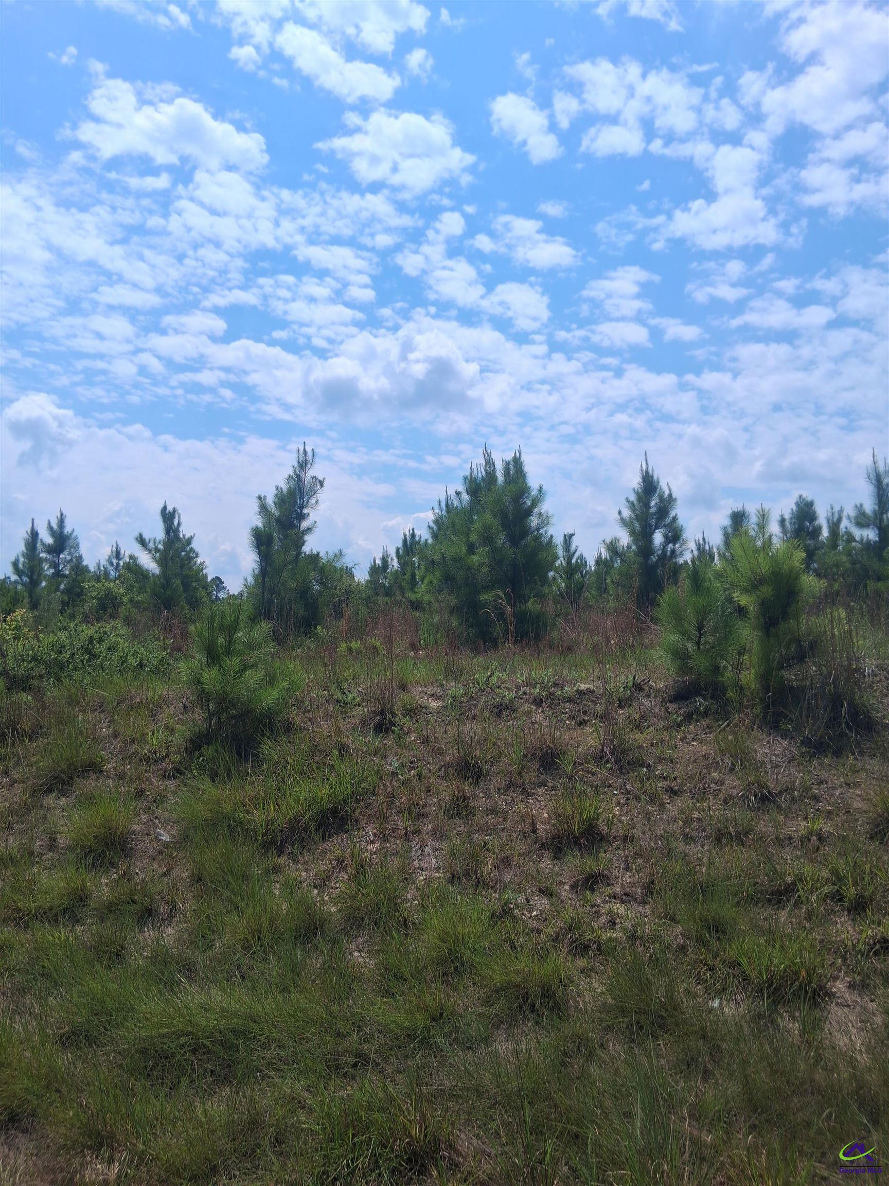 0 Abbeville Highway
