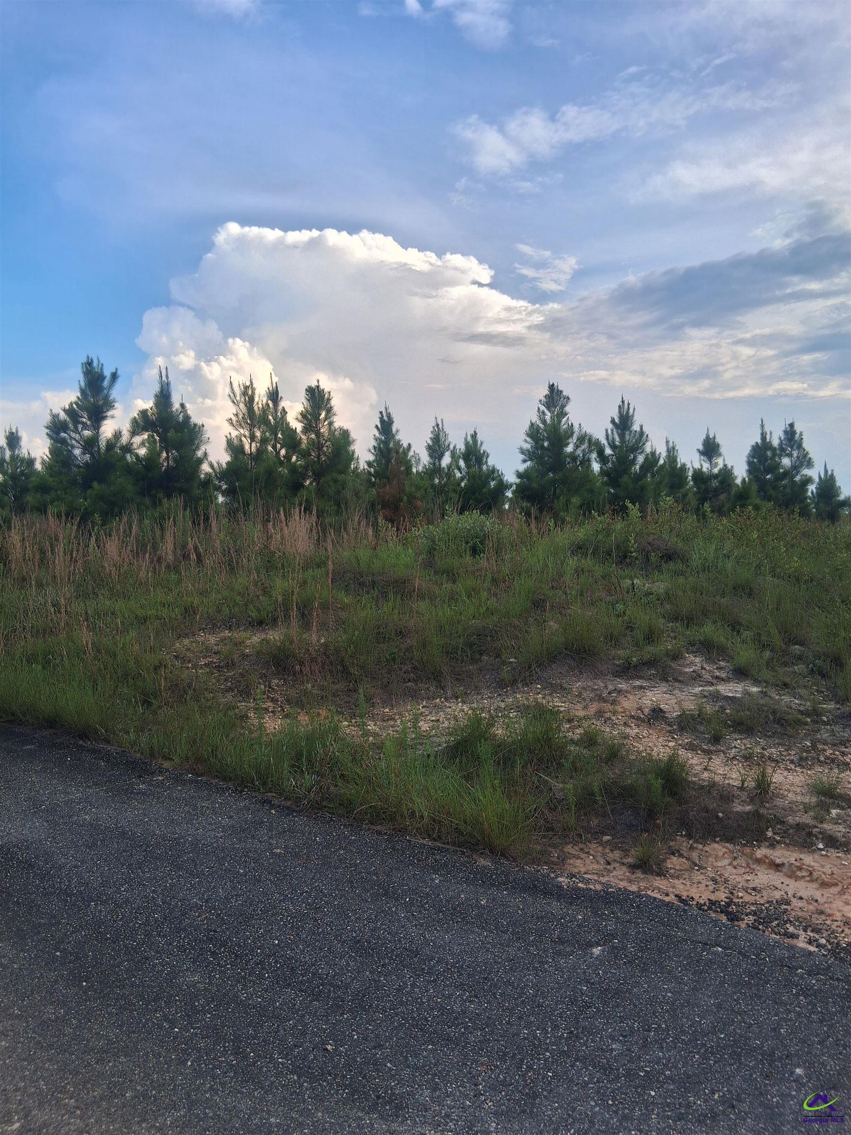 0 Abbeville Highway
