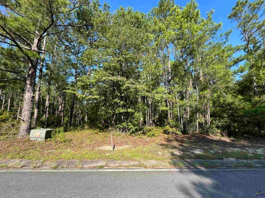 0 WATERFRONT WAY, WARNER ROBINS, GA 31093 - Image 7ef08ffc8da92fb8dbc2dde31c1e8642/2834064853