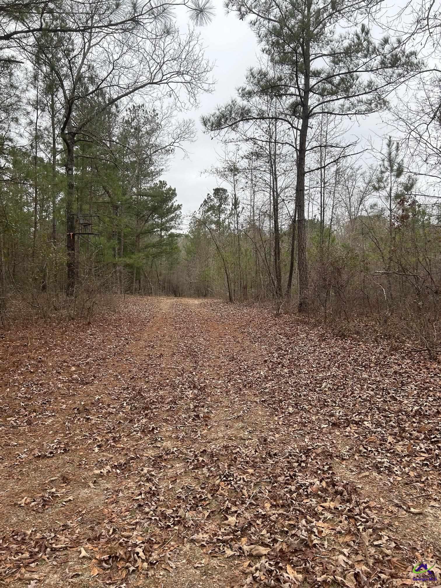1163 Old Ideal Road