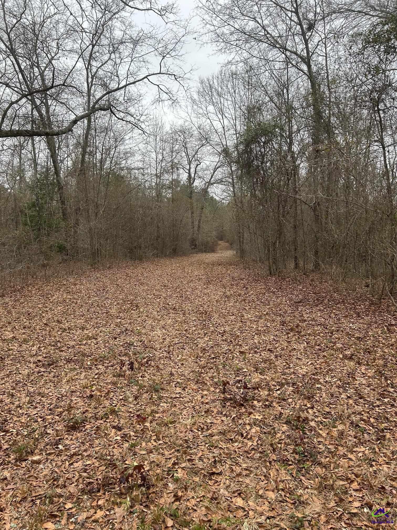 1163 Old Ideal Road