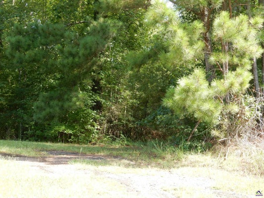 WHITAKER RD, ROBERTA, GA 31078 - Image 94d1a2edbe11853a3fa695cdcd032223/2509242512