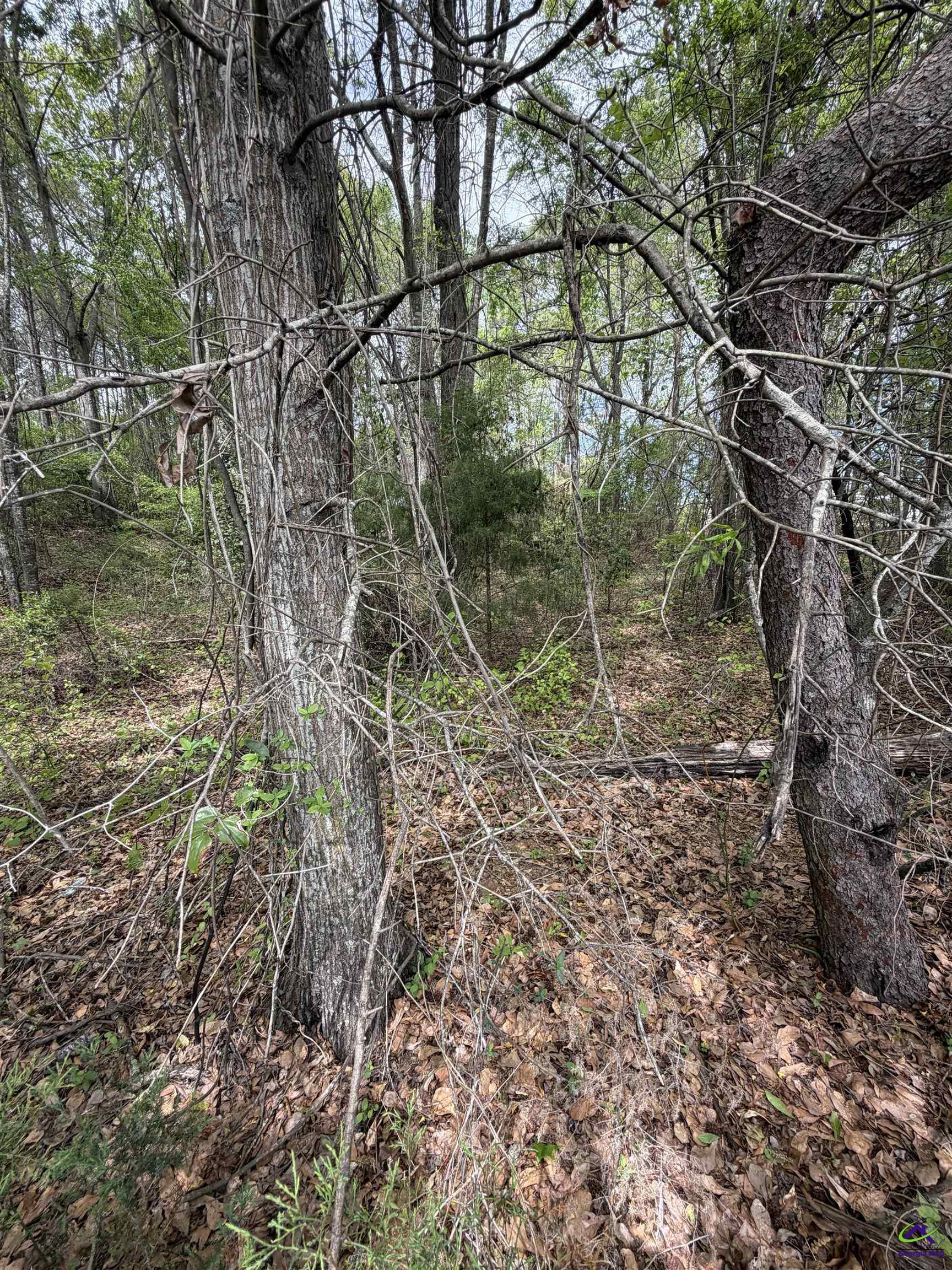 Old Perry Road