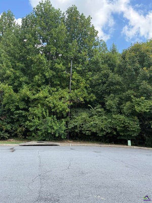 1264 ALLERTON CT SE, ATLANTA, GA 30354 - Image a20eac42665879f0b511b9c8abb7cbd2/4057498463