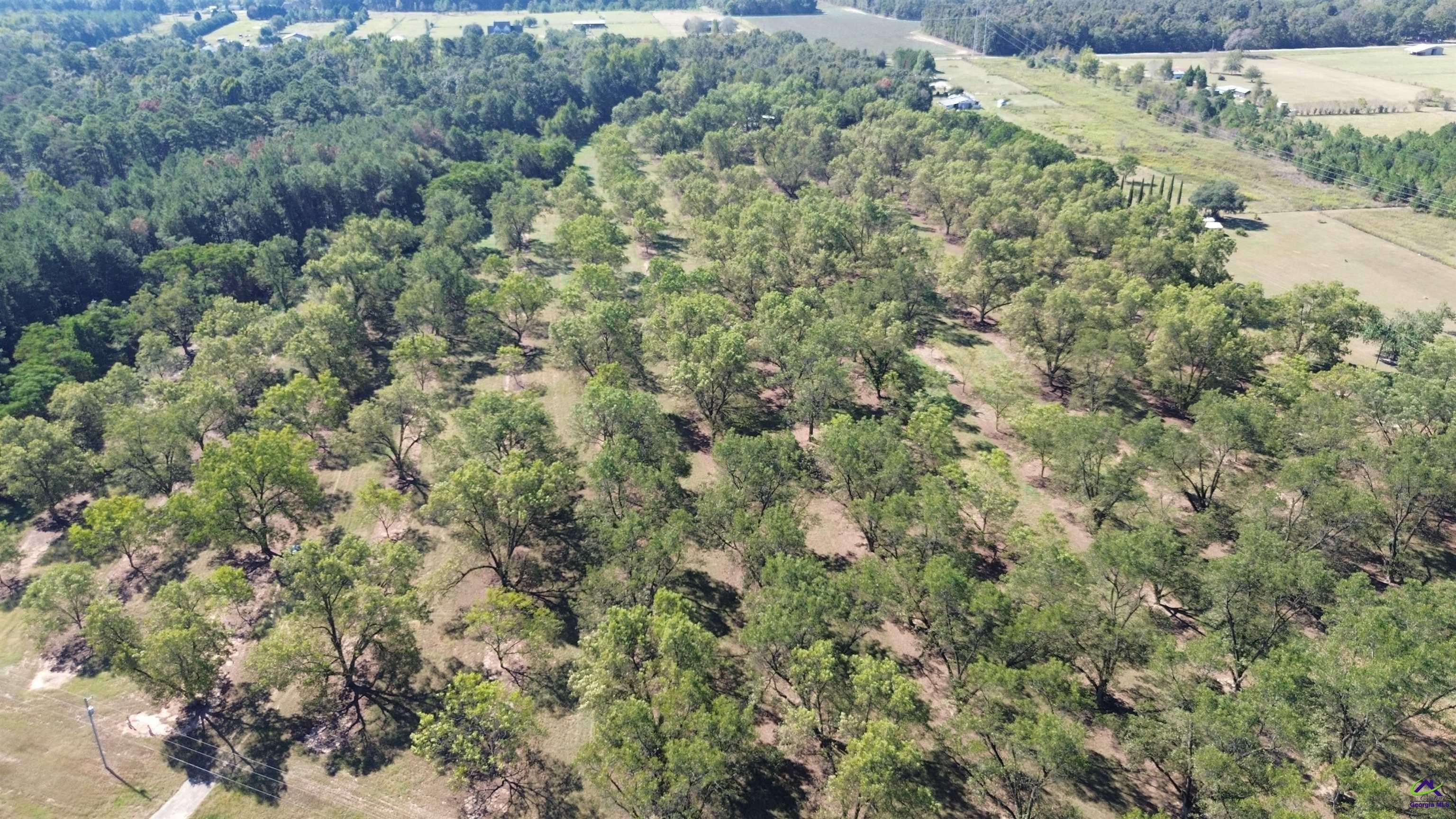 Lot 2 S Hwy 341