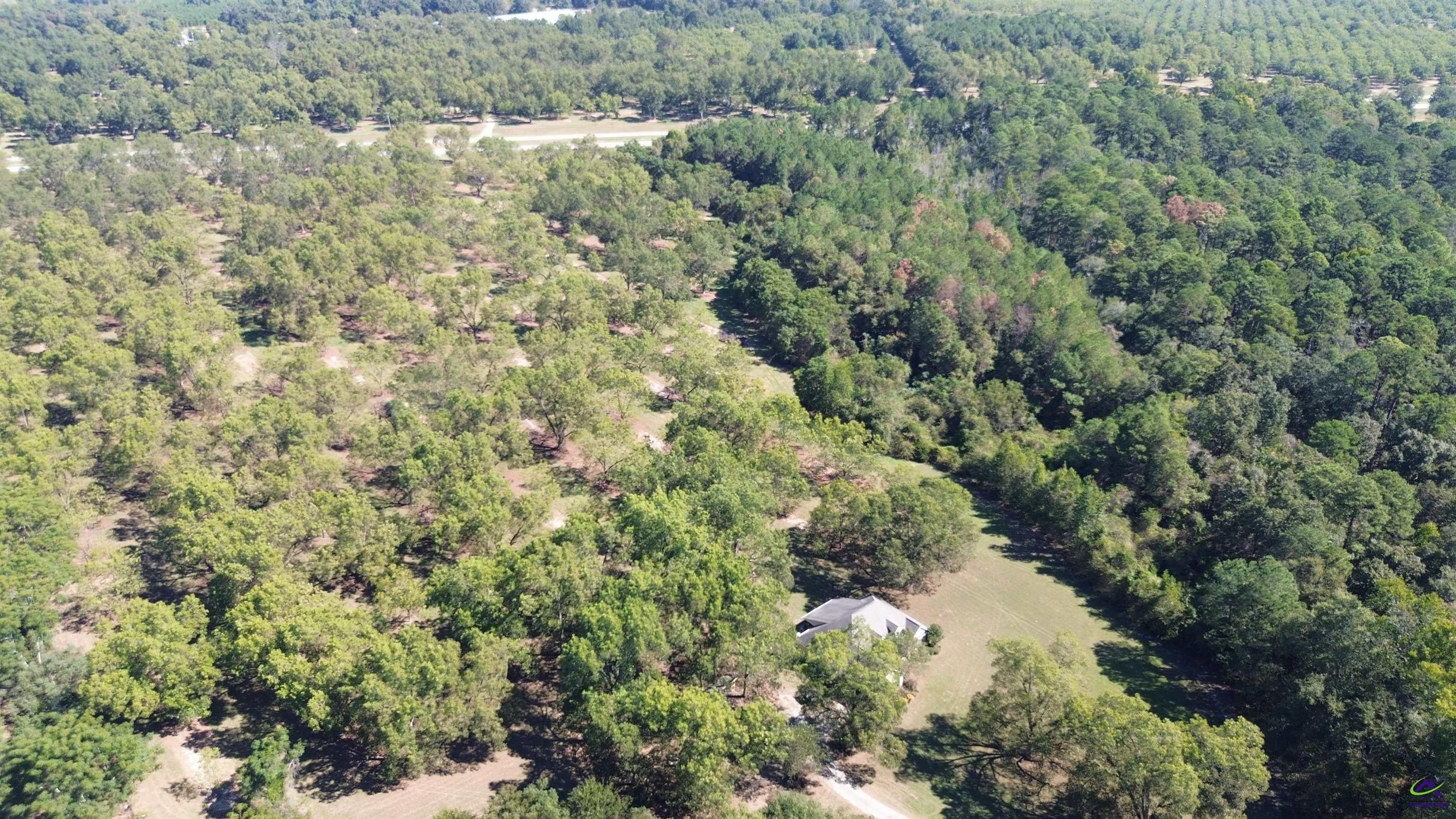 Lot 2 S Hwy 341