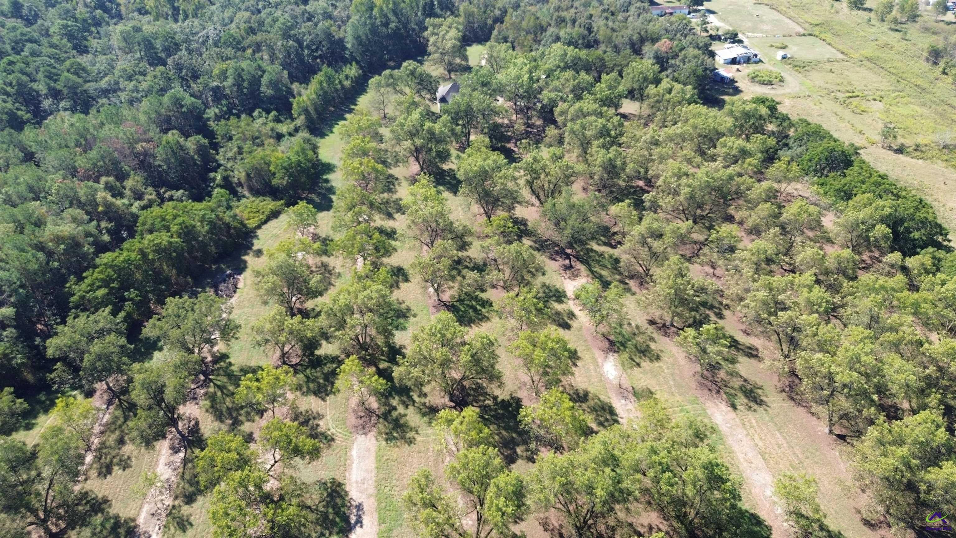 Lot 2 S Hwy 341