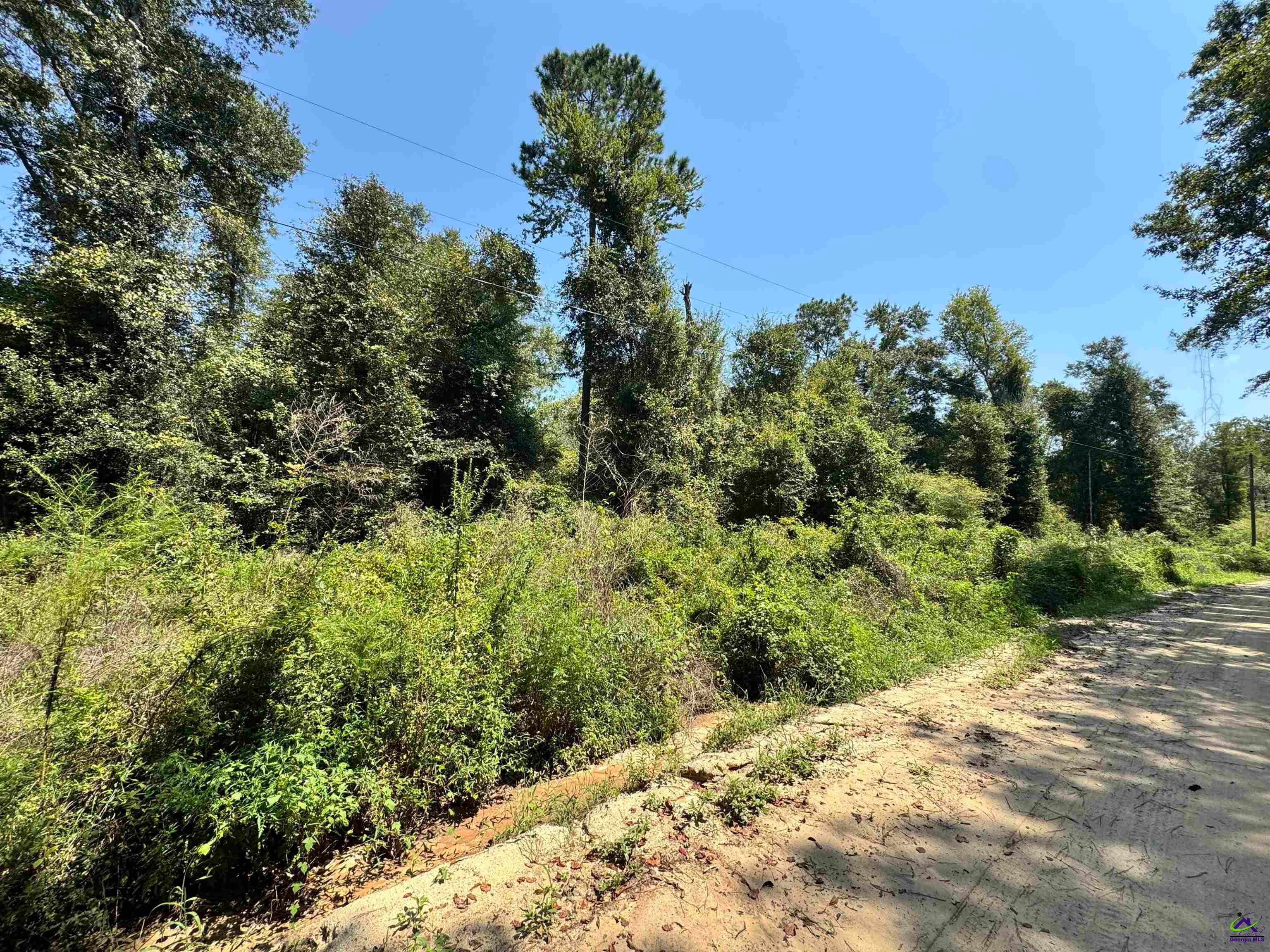 000 Shady Lane Road