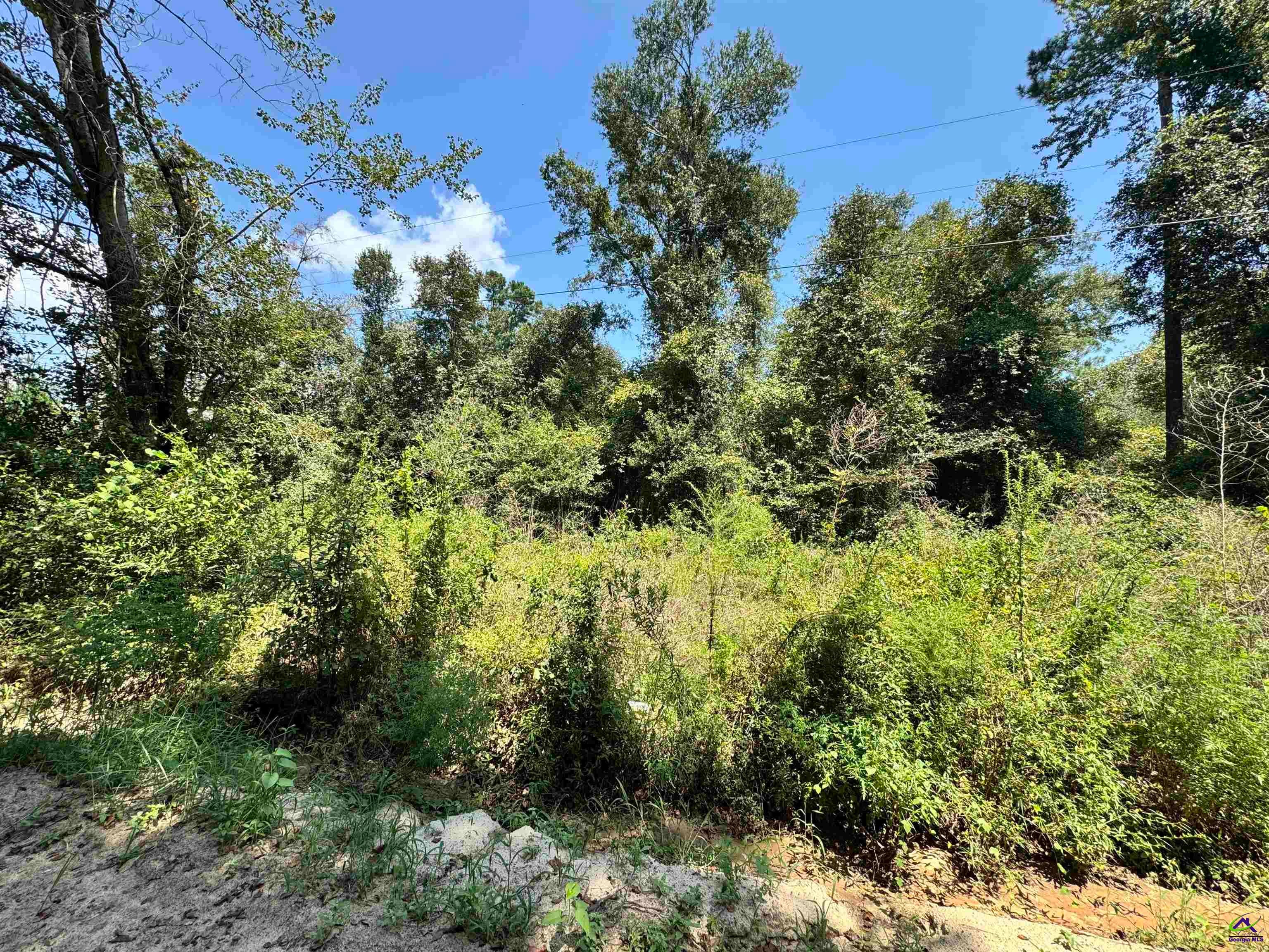 000 Shady Lane Road
