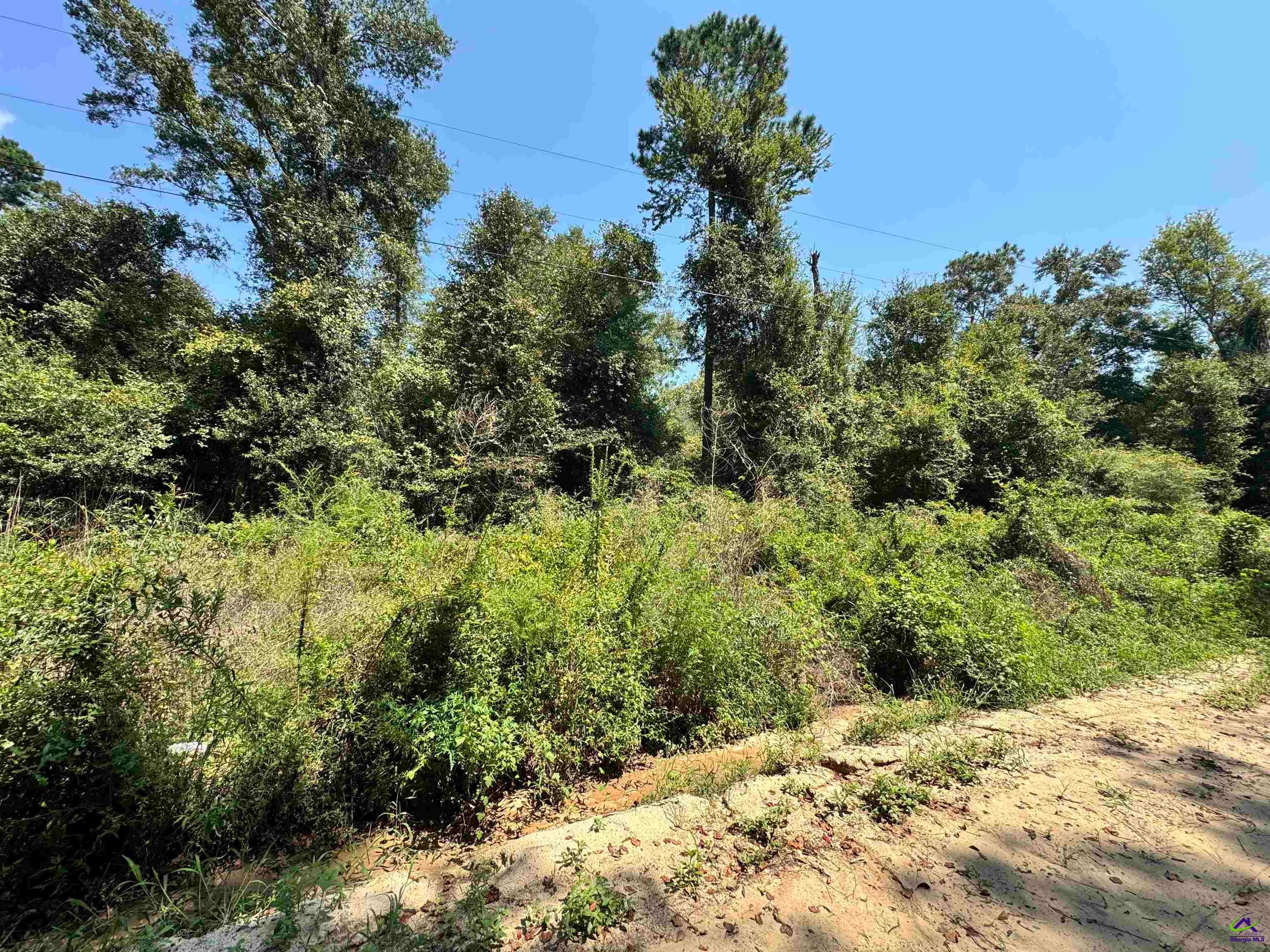 000 Shady Lane Road