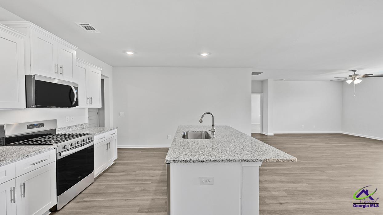 1121 Adirondac Way