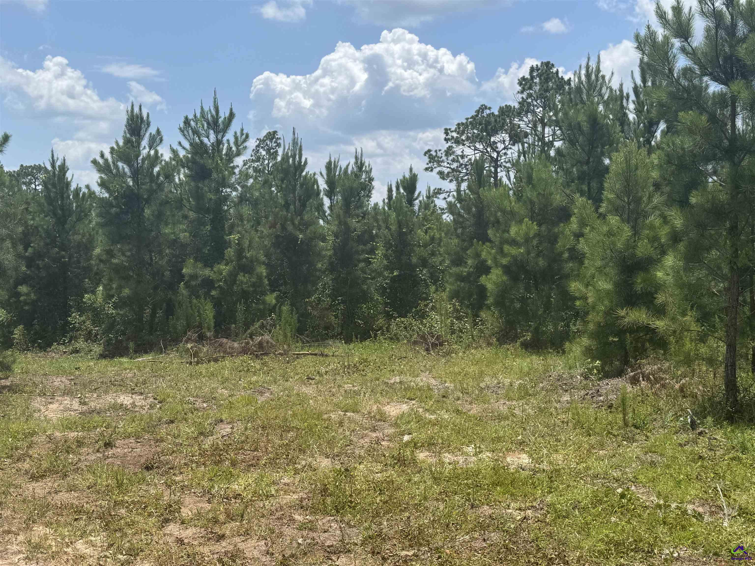 477 Keens Crossing Road