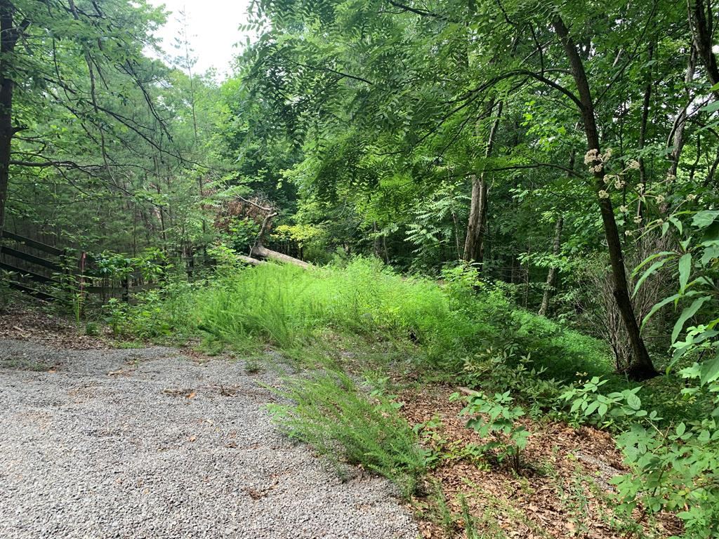 Photo 1 of 4 — Lot 503 Overlook Court, Sevierville, TN 37876