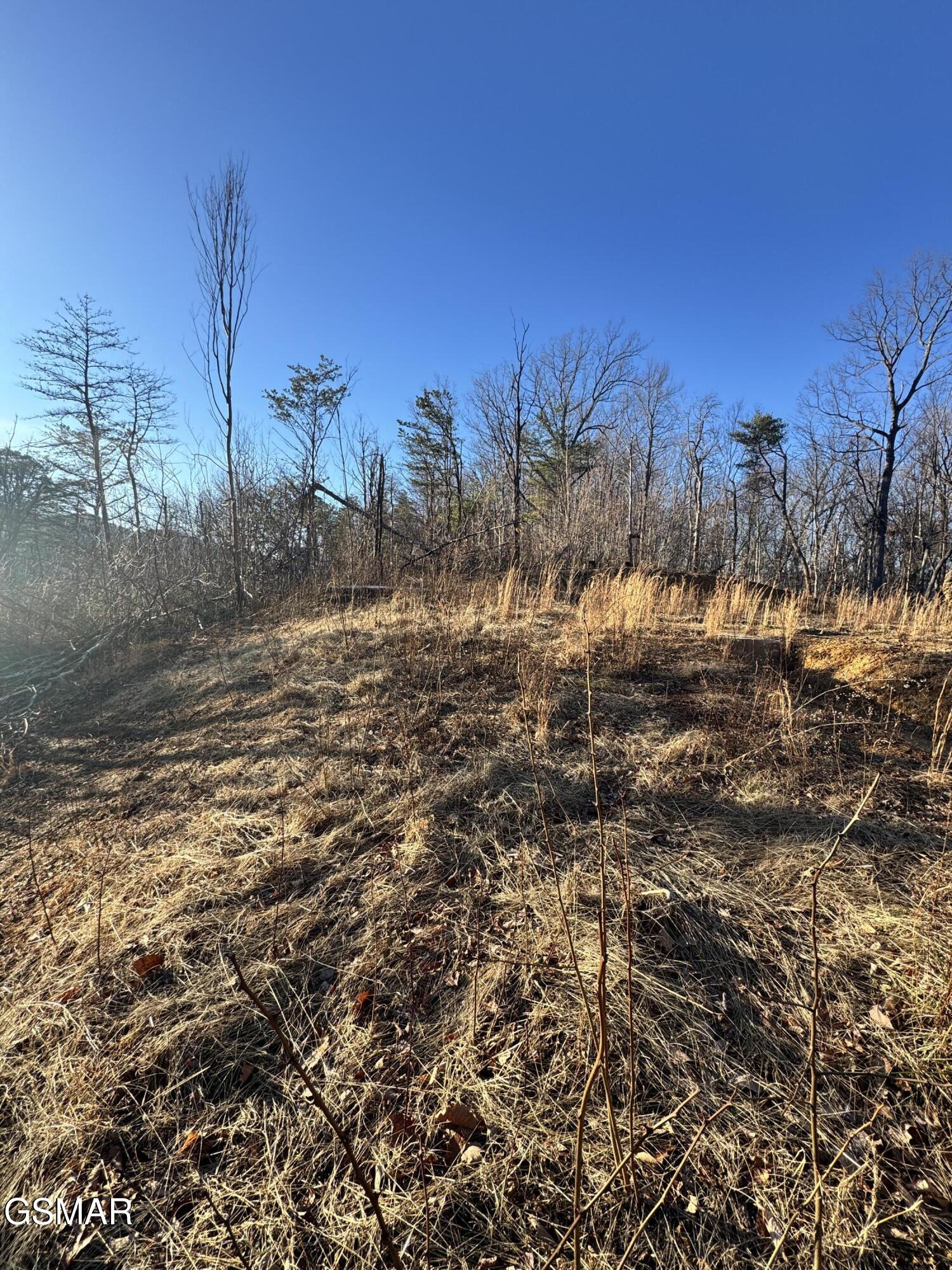 3361 Sugar Maple Loop Road - Photo 3